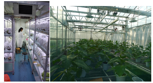 ����ʹ-fun88����ʹ-�ٷ���վ