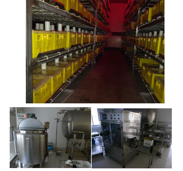 ����ʹ-fun88����ʹ-�ٷ���վ