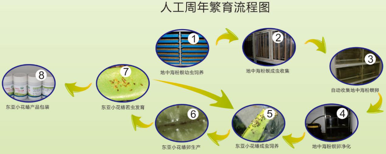 ����ʹ-fun88����ʹ-�ٷ���վ