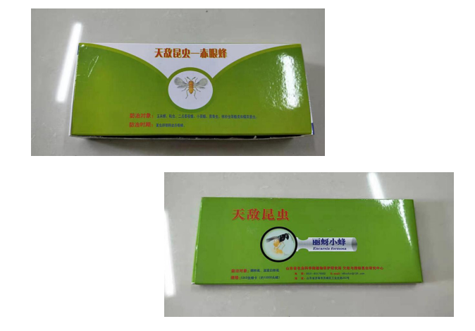 ����ʹ-fun88����ʹ-�ٷ���վ