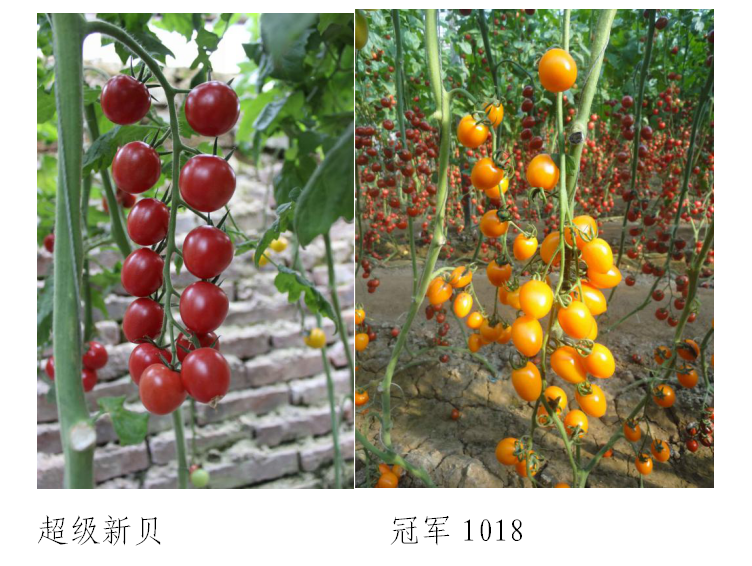 ����ʹ-fun88����ʹ-�ٷ���վ