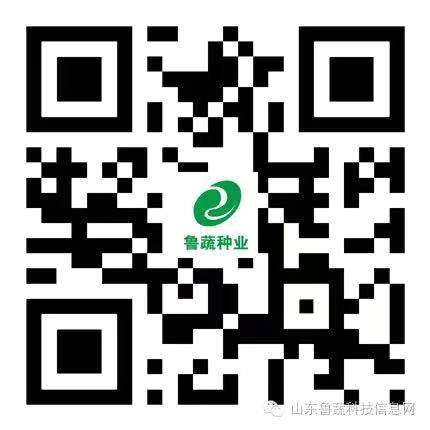 ����ʹ-fun88����ʹ-�ٷ���վ