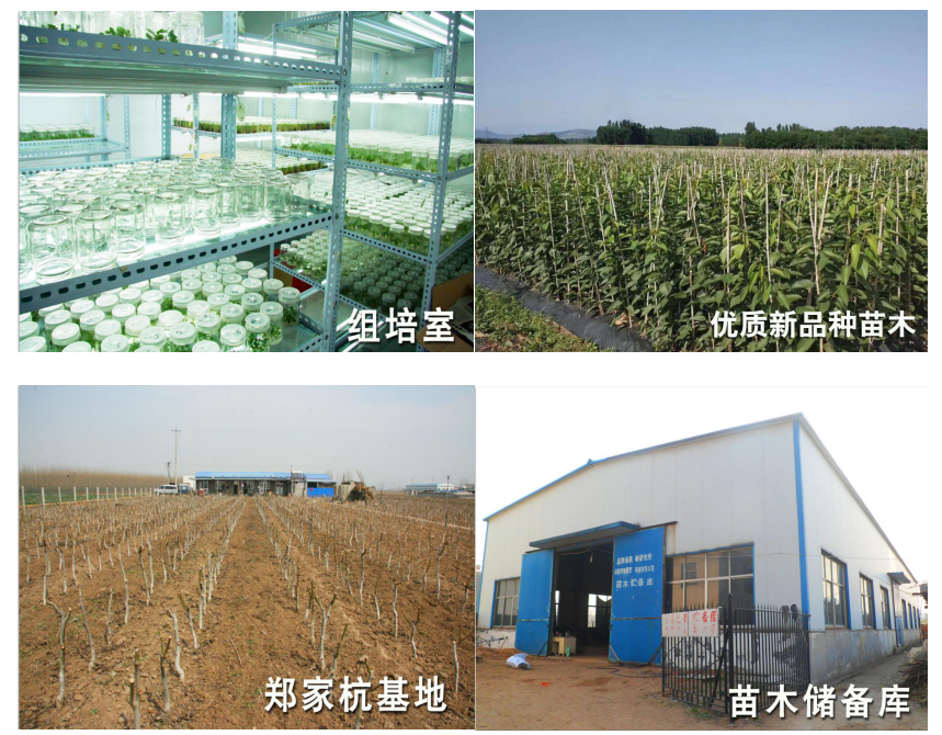 ����ʹ-fun88����ʹ-�ٷ���վ