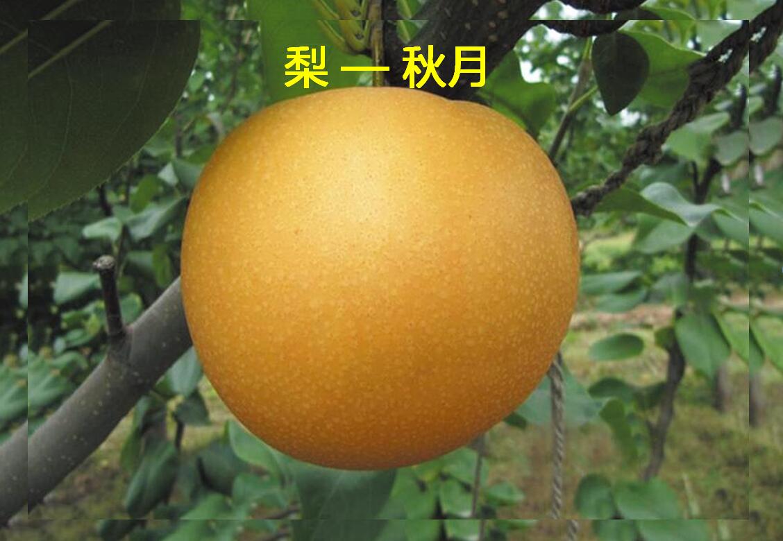 ����ʹ-fun88����ʹ-�ٷ���վ