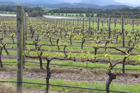 ����ʹ-fun88����ʹ-�ٷ���վ