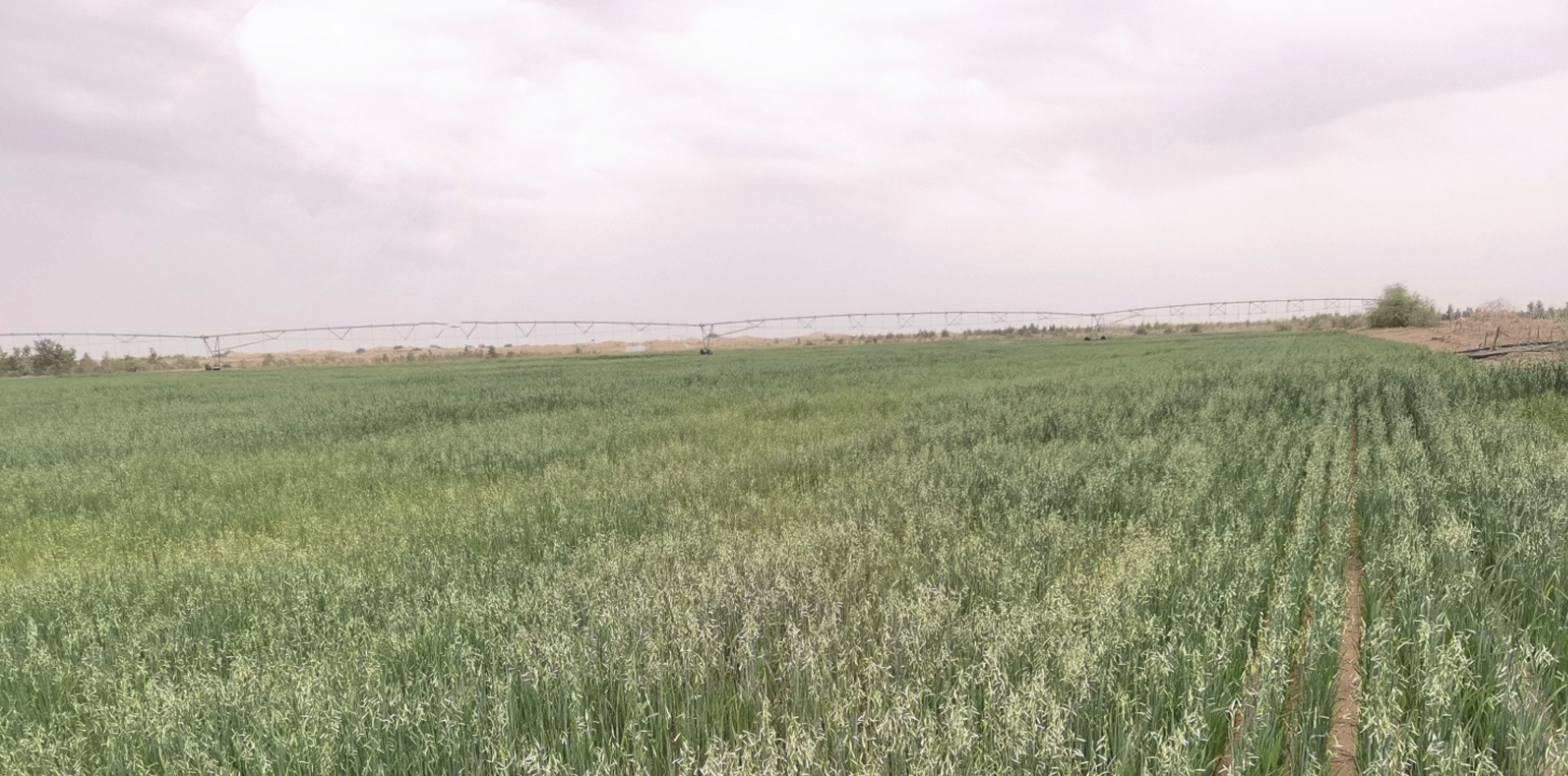 ����ʹ-fun88����ʹ-�ٷ���վ