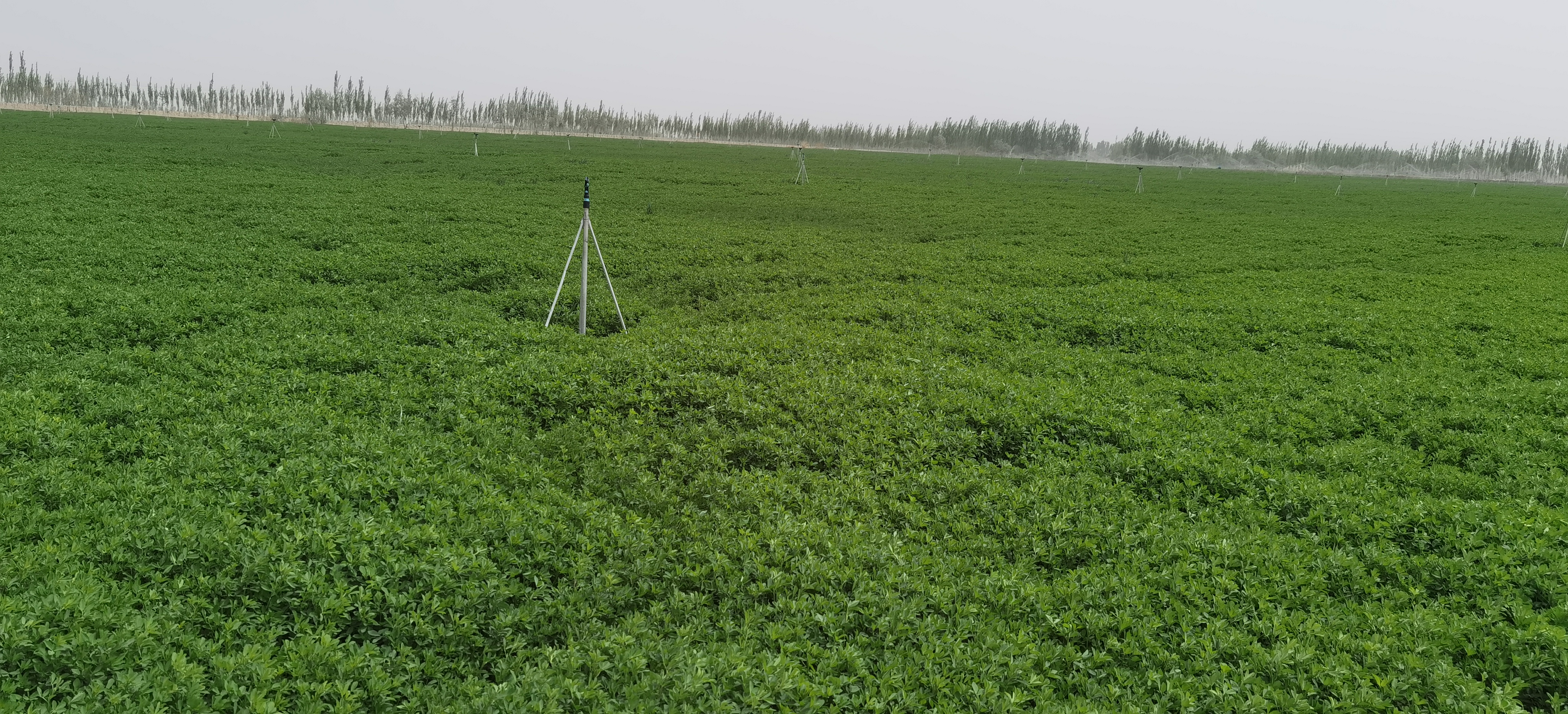 ����ʹ-fun88����ʹ-�ٷ���վ